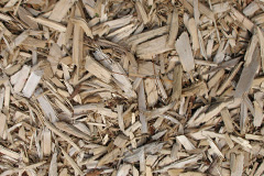 biomass boilers Trevarrack